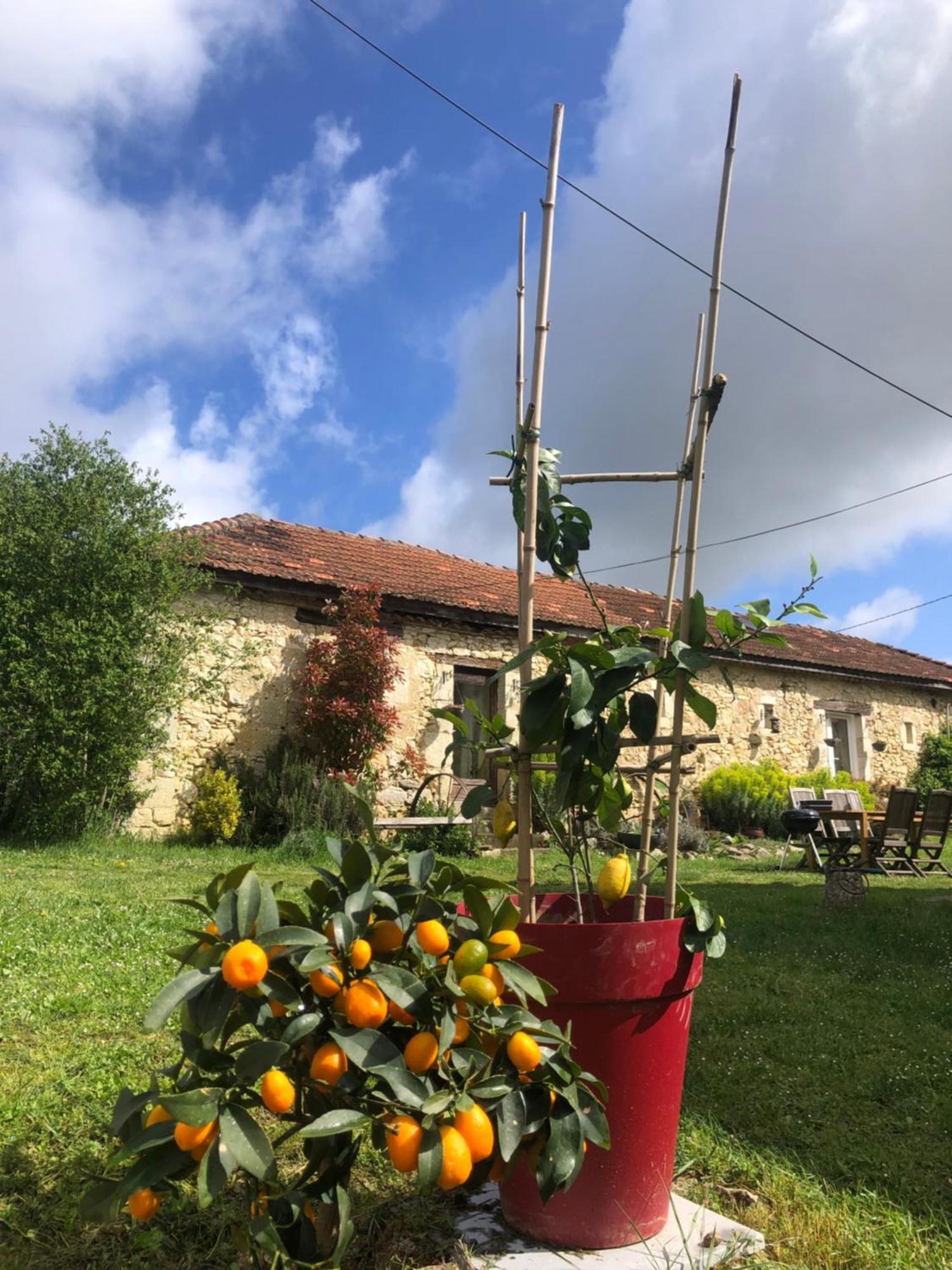 Le Merlat * Beaucaire (Gers)