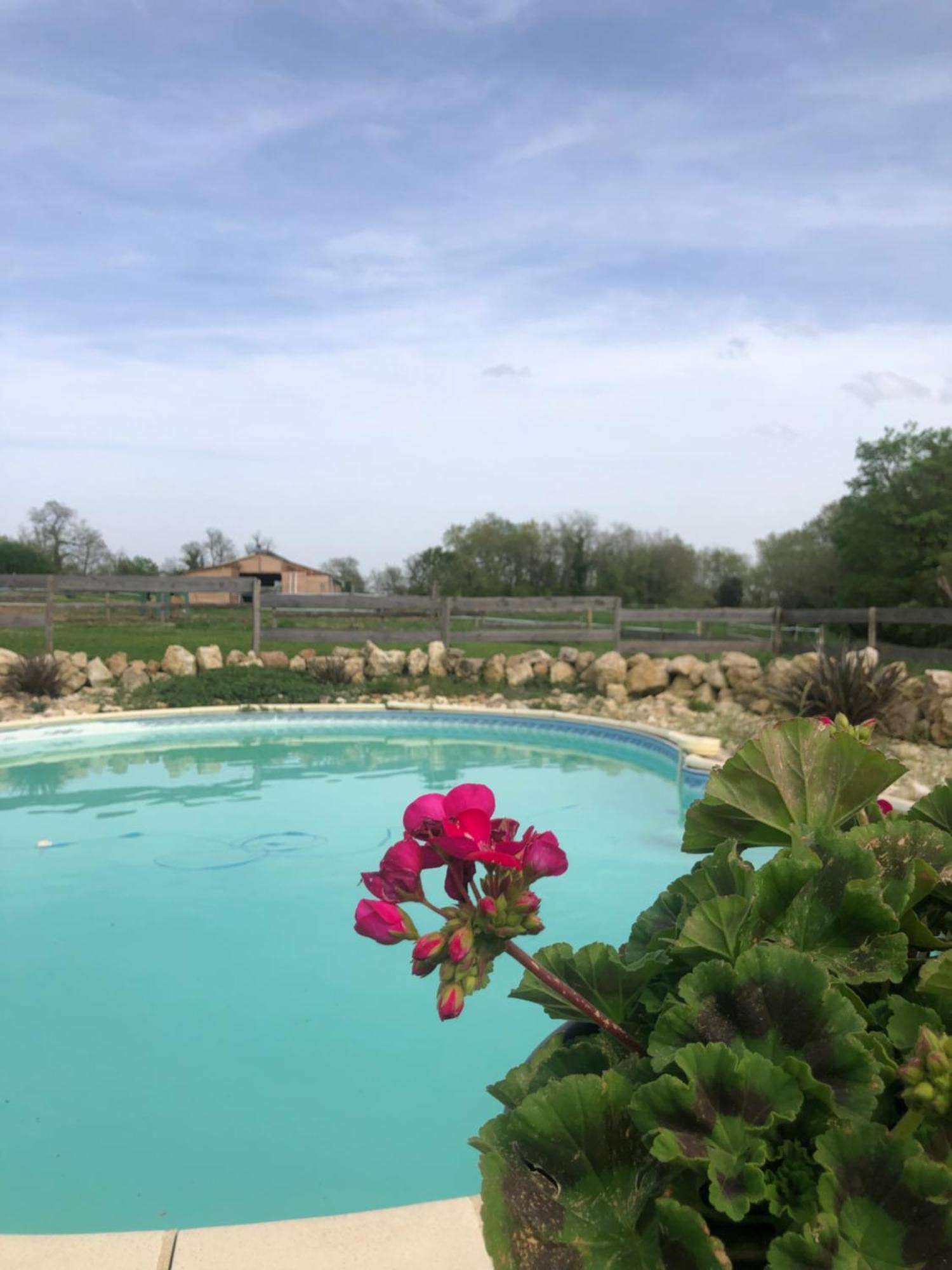 Holiday home Le Merlat *